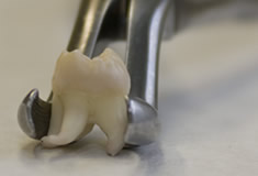 Gemeinschaftspraxis Zahnärztinnen Unna